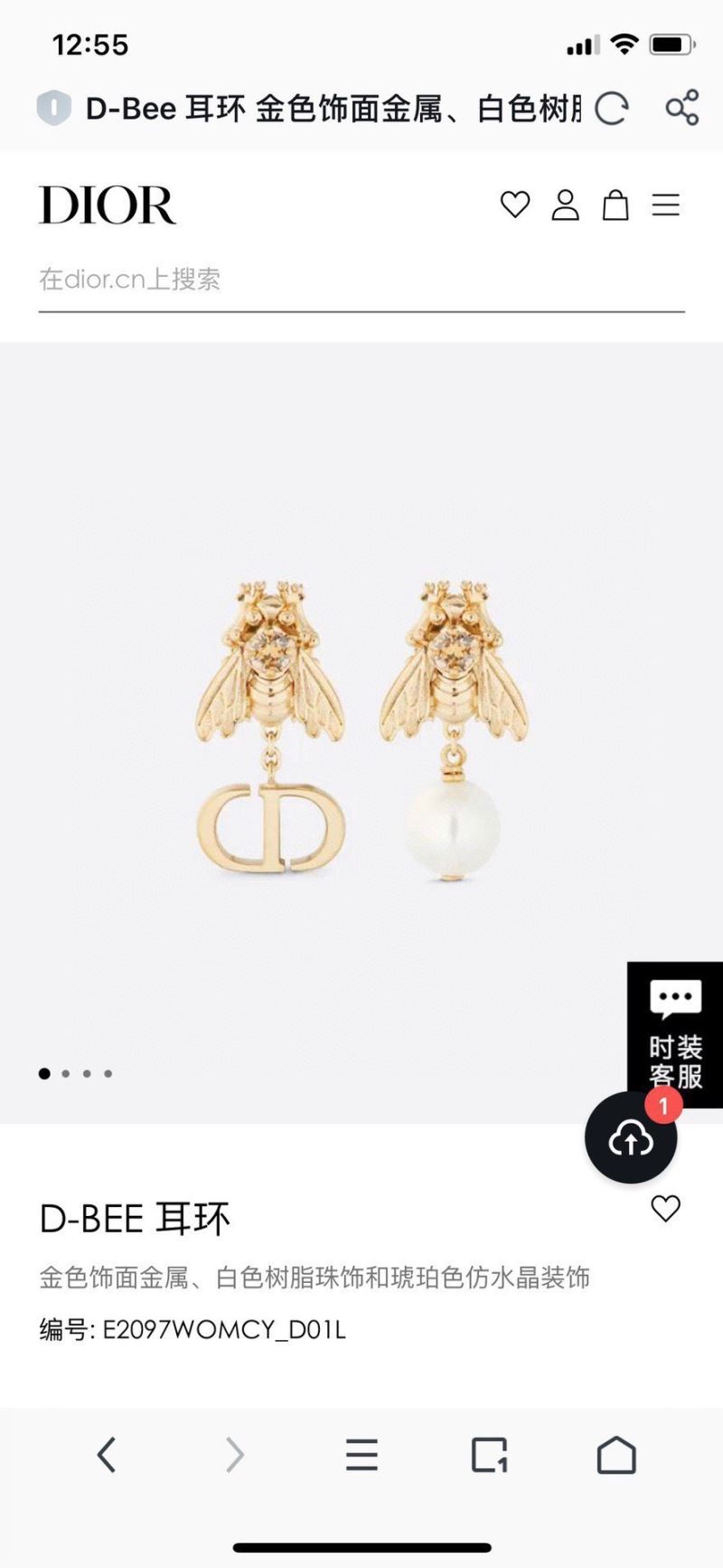 Christian Dior Earrings